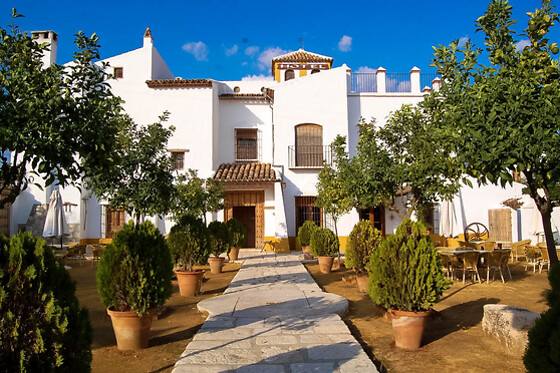 POSADA EL TEMPRANILLO - photo 0
